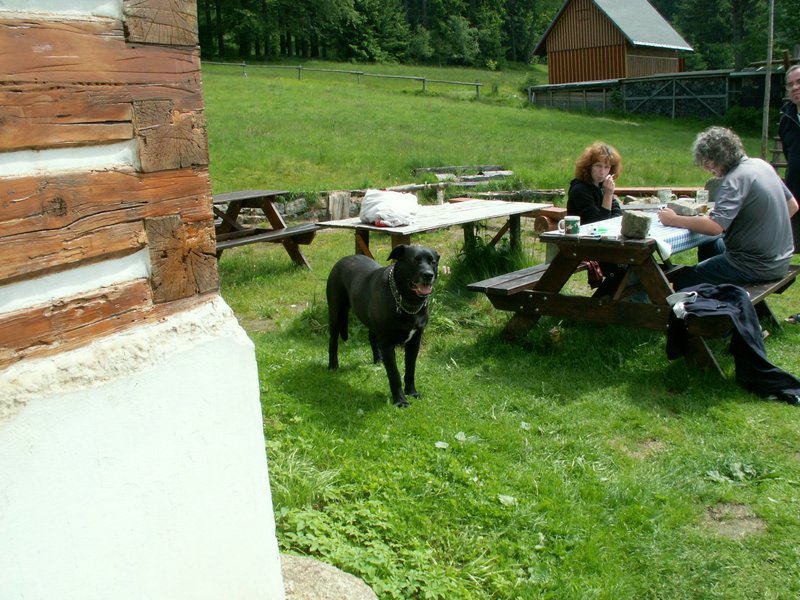090609_PICT0012.JPG