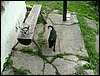 090609_PICT0007.JPG