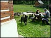 090609_PICT0012.JPG