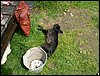 090609_PICT0015.JPG