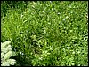 090609_PICT0021.JPG