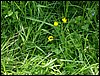 090609_PICT0022.JPG