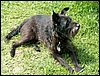 090609_PICT0031.JPG