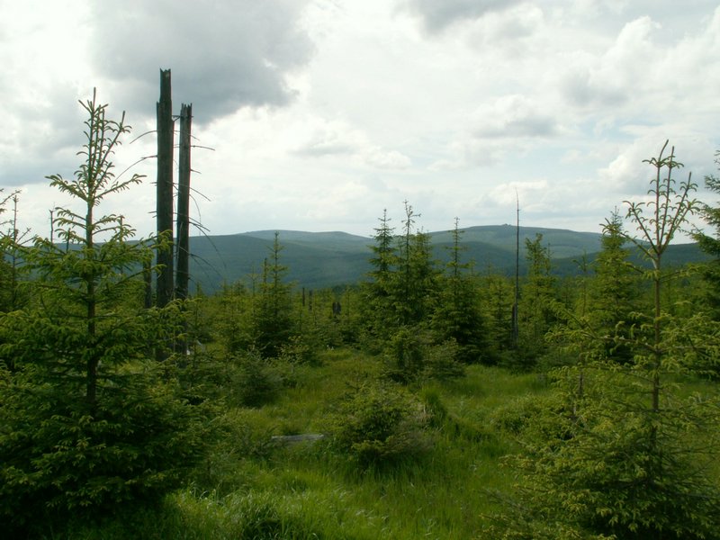 090610_PICT0100.JPG