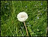 090610_PICT0015.JPG