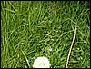 090610_PICT0017.JPG