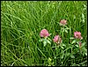 090610_PICT0018.JPG