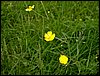 090610_PICT0021.JPG