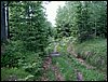 090610_PICT0079.JPG