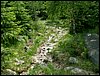 090610_PICT0081.JPG