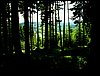 090610_PICT0087.JPG