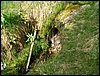 090610_PICT0090.JPG