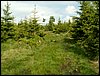 090610_PICT0092.JPG