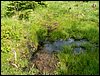 090610_PICT0093.JPG