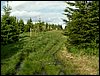 090610_PICT0096.JPG
