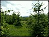 090610_PICT0097.JPG