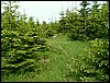 090610_PICT0098.JPG