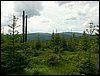 090610_PICT0100.JPG