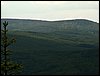 090610_PICT0101.JPG