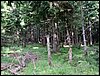 090610_PICT0104.JPG