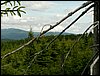 090610_PICT0117.JPG