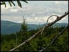 090610_PICT0118.JPG