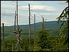 090610_PICT0120.JPG