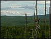 090610_PICT0121.JPG