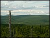 090610_PICT0122.JPG