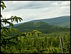 090610_PICT0124.JPG