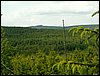 090610_PICT0125.JPG
