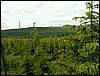 090610_PICT0128.JPG