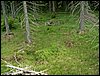 090610_PICT0130.JPG
