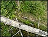 090610_PICT0131.JPG
