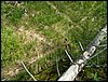 090610_PICT0135.JPG