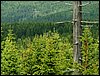090610_PICT0136.JPG