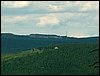 090610_PICT0137.JPG
