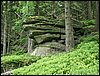 090610_PICT0138.JPG