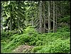 090610_PICT0139.JPG
