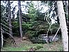 090610_PICT0144.JPG