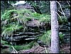 090610_PICT0145.JPG