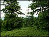 090610_PICT0147.JPG