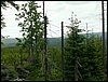 090610_PICT0150.JPG