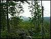 090610_PICT0151.JPG