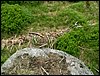 090610_PICT0153.JPG