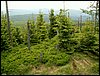 090610_PICT0154.JPG