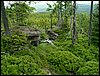 090610_PICT0155.JPG