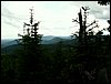 090610_PICT0157.JPG