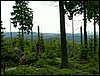 090610_PICT0164.JPG