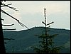 090610_PICT0166.JPG